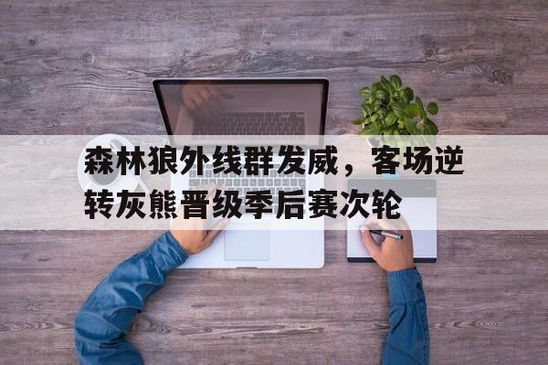 关于森林狼外线群发威，客场逆转灰熊晋级季后赛次轮的信息